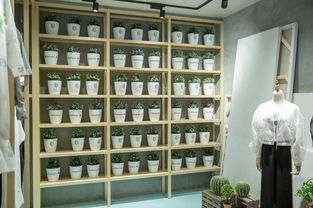 滬上文藝實驗室揭牌 以文化經紀人服務為引擎，開啟文創(chuàng)產業(yè)跨界探索新篇章